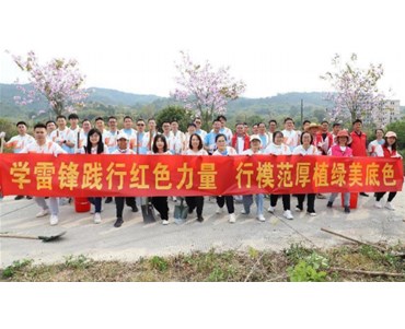 學(xué)雷鋒踐行紅色力量，行模范厚植綠美底色--石化投資集團開(kāi)展植樹(shù)活動(dòng)